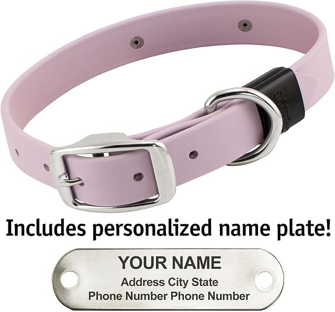 Biothane Custom Dog Collar – Waterproof, Stink-Proof Personalized Collar with Name & Phone Number – Durable, Many Sizes and Colors – Assembled in USA (Lilac Purple)