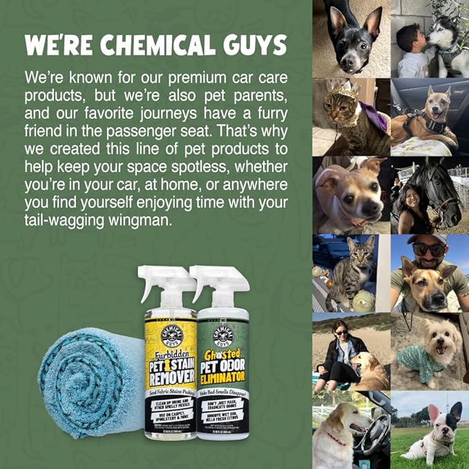 Ghosted Pet Odor Eliminator, Refresh Your Home, Car, Office, & More, from Chemical Guys (32 Fl Oz) - Fresh Citrus Scent - PCS10232