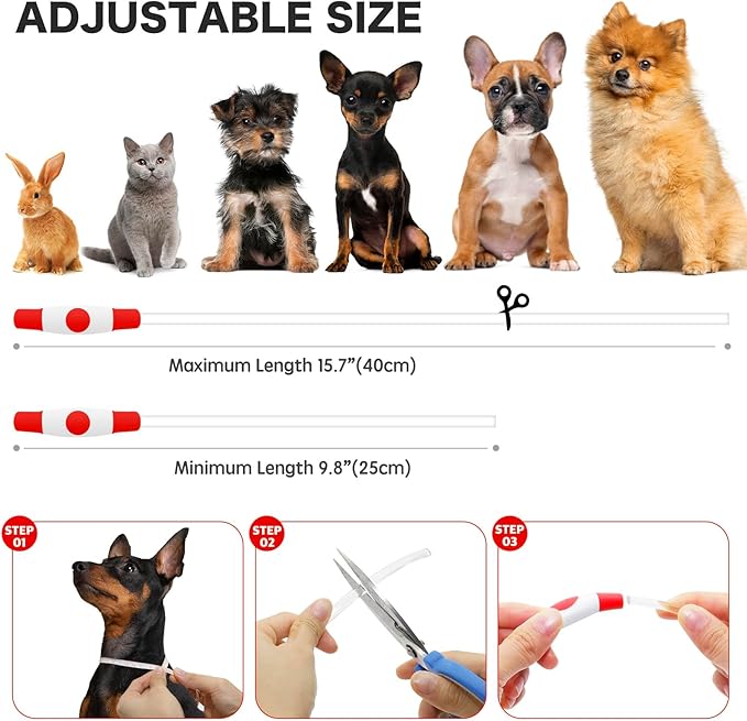 BSEEN Light Up Dog Collar - Rainproof LED Dog Collar Rechargeable - TPU Cuttable Glowing Puppy Collar for Small Dogs& Cats, High Visibility Safety Dog Lights for Night Walking (XS-Red 40cm)