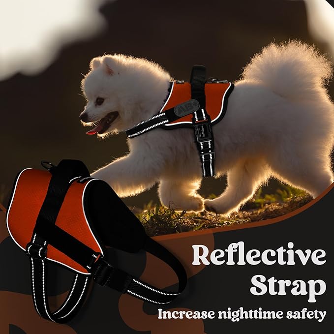 rabbitgoo Dog Harness for Small, Easy On Pet Vest with One Buckle, No Pull Adjustable Service Harness with D-Ring & Handle, Reflective for Safety Walking, Training, Orange, S