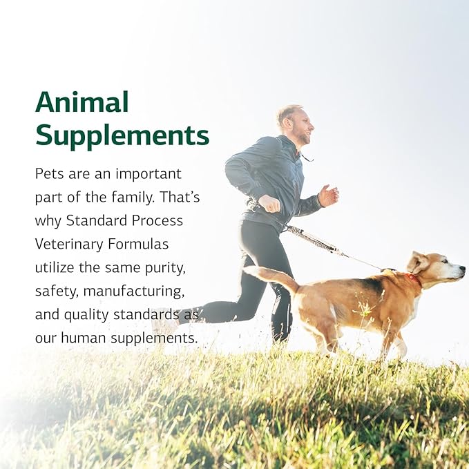 Standard Process Inc. VF Thymex for Pets - Cat & Dog Immune System Support Supplement - Thymus Supplement to Aid Canine & Feline Immune Health - Supplement with Vitamin C - 90 Tablets
