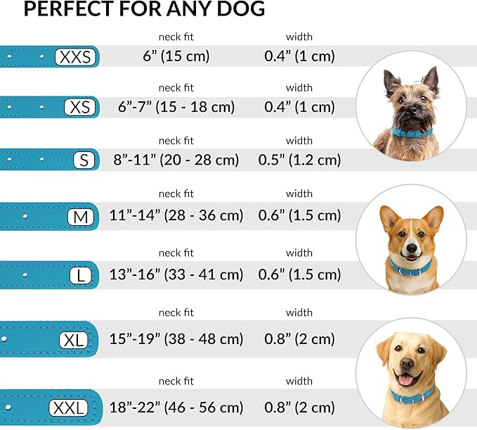 CollarDirect Rolled Leather Dog Collar, Soft Padded Round Puppy Collar, Handmade Genuine Leather Collar Dog Small Large Cat Collars 13 Colors (6 Inch, Light Blue)