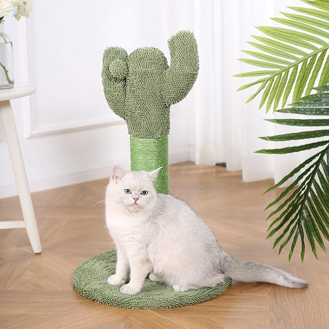 Amazon Basics Cat Scratcher - Indoor Cactus Single Cat & Kittens Scratching Post with Dangling Ball, Medium (25.6"H) - Green