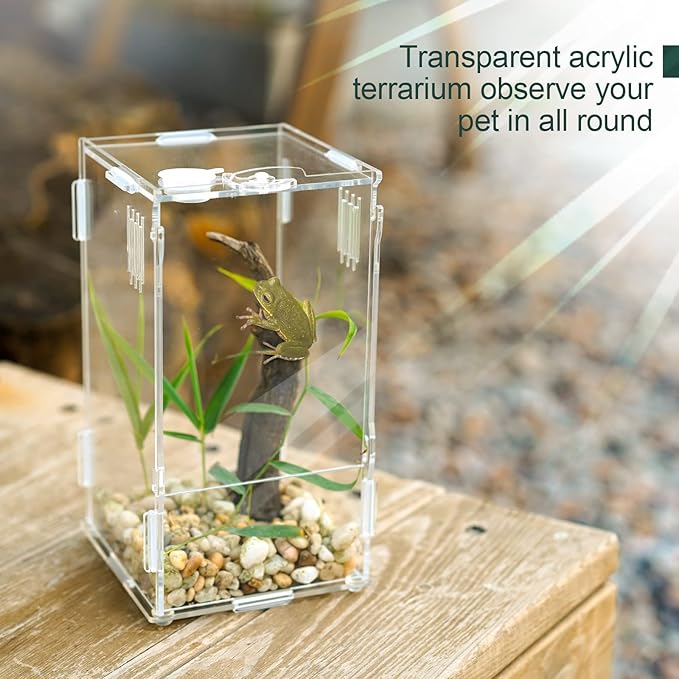 BETAZOOER Acrylic Mini Reptile Tank Habitat Transparent Terrariums with Locking Latch Suitable for Tarantula Isopod Roach Invertebrates (8''x6''x14'')