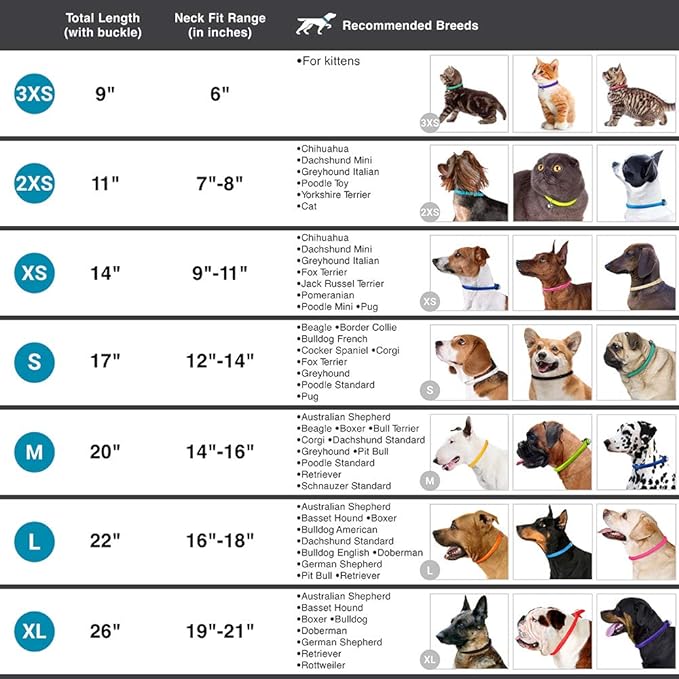 CollarDirect Rolled Leather Dog Collar, Soft Padded Round Puppy Collar, Handmade Genuine Leather Collar Dog Small Large Cat Collars 13 Colors (13-16 Inch, Pink Textured)