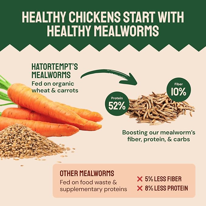 Chicken Feed Dried Mealworms - 5 Lb, Non-GMO & Organic - High-Protein Mealworms for Wild Birds & Ducks, Chicken Treats & Bird Food