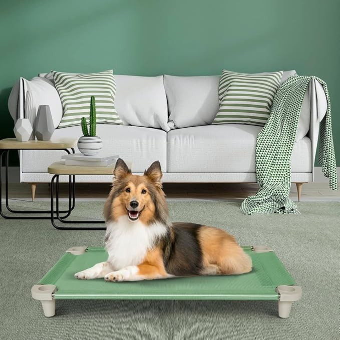 Acrimet Cooling Elevated Pet Dog Bed, Washable and Breathable Mesh Cot, Stainless Steel Frame, Indoor & Outdoor Use, fits Dogs up to 110 lbs (Size: 40” x 24”), Green, 1 Unit