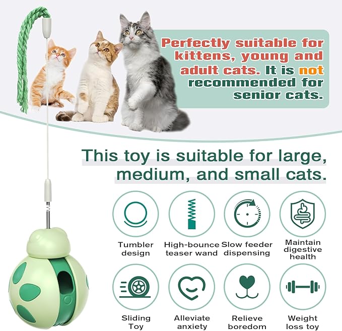 Cat Treat Interactive Toy, Indoor Puzzle Slow Feeding Mental Stimulation Sliding Rolling Cat Toy Ball with Cat Teaser, Cat Treat Dispenser Toy for Large, Medium and Small Cats (Green, ladybug)