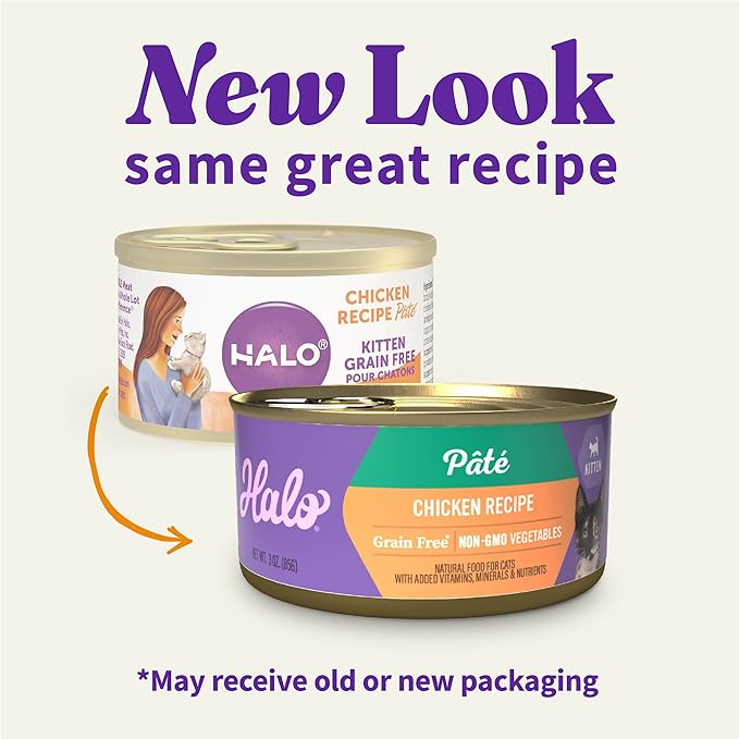 Halo Wet Kitten Food Whole Chicken Recipe, Grain Free Wet Cat Pate, Canned Cat Food to Support Brain Development, 3 Oz Can (Pack of 12)