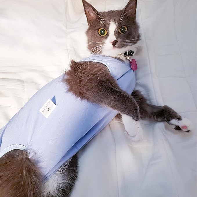 DOTON Cat Recovery Suit for Male and Female Surgical Post Surgery Soft Cone Onesie Shirt Clothes Neuter Licking Protective Diapers Outfit Cover Kitten Spay Collar(M, Blue)