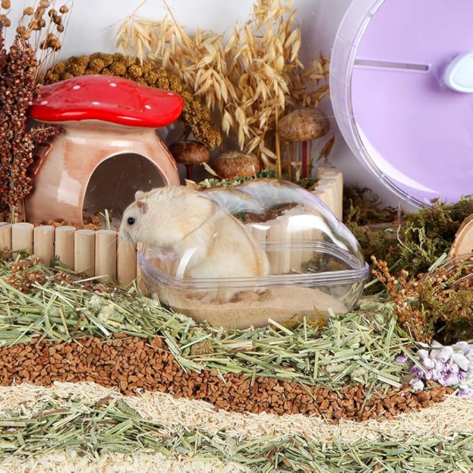 BUCATSTATE Hamster Sand Bath Container Large Hamster Toilet with Scoop Set Dust Bust Accessories for Small Animals (Transparent, Medium)