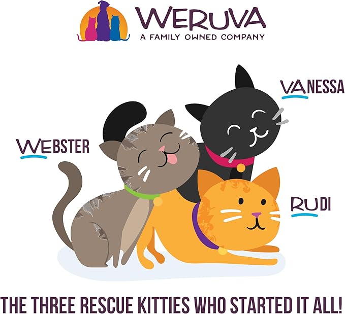 Weruva Cats in The Kitchen, Fowl Ball with Chicken & Turkey Au Jus Cat Food, 3.2oz Can (Pack of 24)