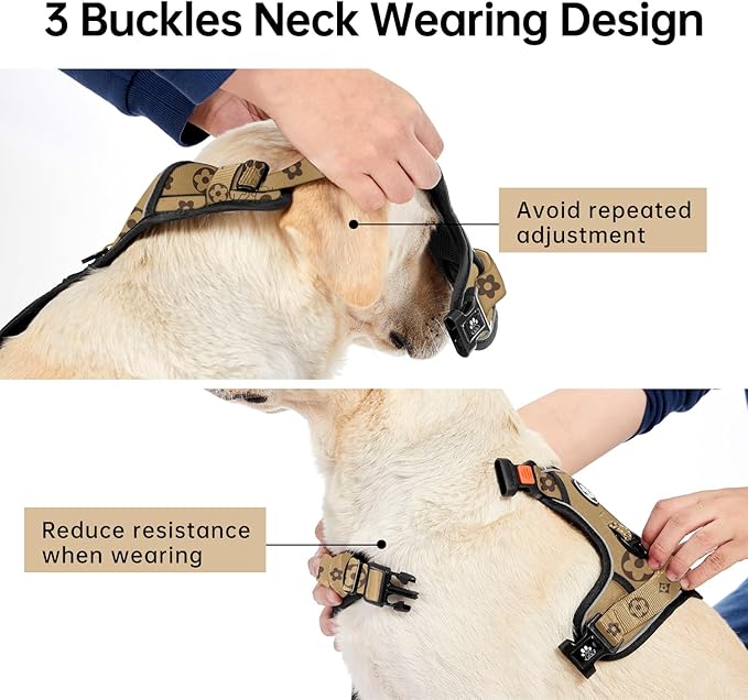 IVY&LANE No Pull Dog Harness with Leash Set, Reflective No Choke Pet Vest,Adjustable Oxford Dog Vest Harness with Easy Control Handle for Large Dogs (Light Brown,XL)