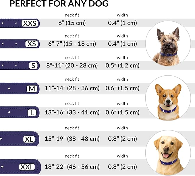 CollarDirect Rolled Leather Dog Collar, Soft Padded Round Puppy Collar, Handmade Genuine Leather Collar Dog Small Large Cat Collars 13 Colors (18-22 Inch, Purple Smooth)