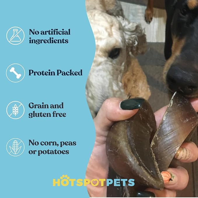 Full-Size Cow Hooves for Dogs | All-Natural Long Lasting Dog Chews | Made from Grass Fed Cattle | Tasty Treat for Oral Hygiene | Fantastic Alternative for Rawhide and Bully Sticks (100 Count)