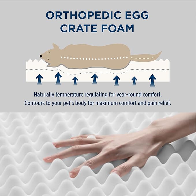 Bedsure Dog Bed for Small Dogs - XS Orthopedic Flat Puppy Beds with Removable Washable Cover, Egg Crate Foam Pet Mat, Suitable for Pet or Cats Up to 15 lbs