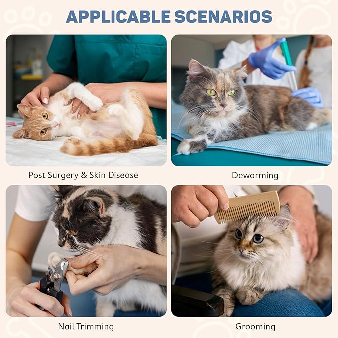 Avont Soft Cat Recovery Cone Collar, Adjustable Lightweight Kitten E-Collar for Small Dogs, Comfortable Neck Donut Stop Licking Scratching After Surgery -Skate(L)