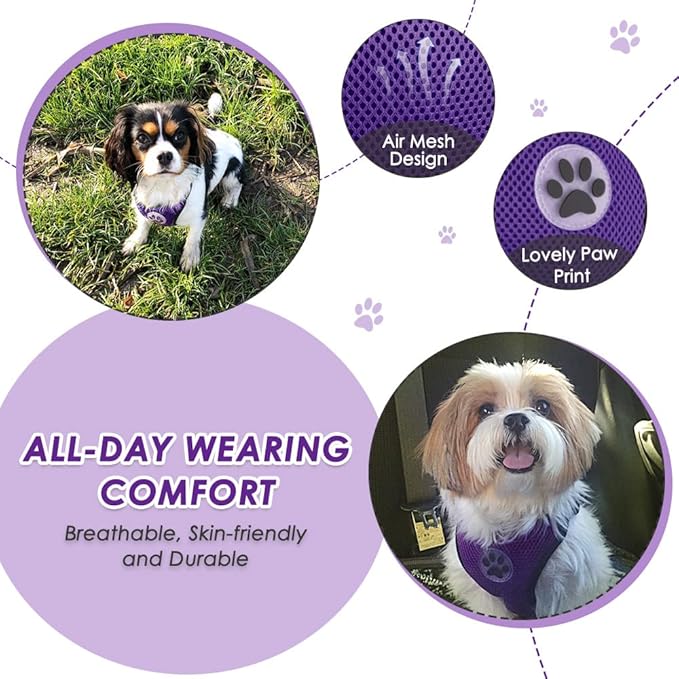Lukovee Dog Seat Belt for Car, Adjustable Dog Car Harness for Large Medium Small Dogs, Soft Padded & Breathable Mesh Dog Seatbelt with Car Vehicle Connector Strap (Purple,Large)