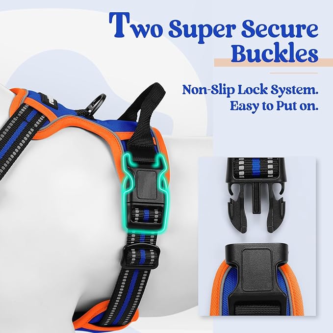 rabbitgoo Dog Harness No Pull with 2 Leash Clips, Adjustable Soft Padded, Reflective Oxford No Choke Pet Vest with Easy Control Handle for Medium Sized Dogs, Blue & Orange, M