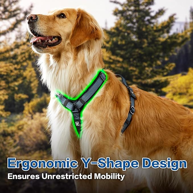 CLEPAWS Dog Harness for Small Dogs, No Pull Dog Harness Easy Walk with Metal Hardware, Ergonomic Y-Shaped Design, Soft Padding, Padded Handle, Durable High-Tensile Nylon (Nightfall, S)