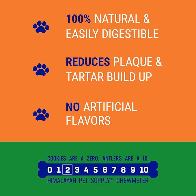 Churro Pumpkin and Cheese Treats | Cheese Churro | Lactose Free - Gluten Free - Grain Free | USA Made | for All Breeds | 11-13 Churros | Pumpkin