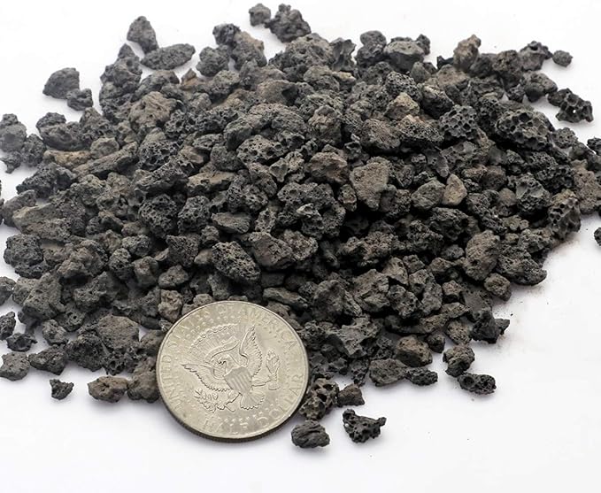 TOYPOPOR Black Horticultural Lava Rock Soil Additive for Cacti Succulents Plants No Dyes or Chemicals 100% Pure Volcanic Rock 2.2LB Top Dressing