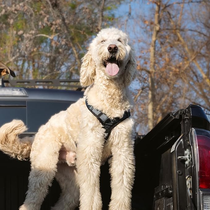 CLEPAWS Dog Harness for Large Dogs, No Pull Dog Harness Easy Walk with Metal Hardware, Ergonomic Y-Shaped Design, Soft Padding, Padded Handle, Durable High-Tensile Nylon (Nightfall, L)