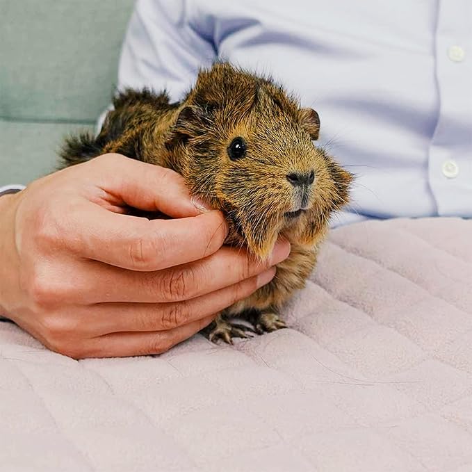 GuineaDad Premium Liner – Fleece Guinea Pig Cage Liner – Ultra-Plush Reusable Fleece Bedding with Waterproof Bottom – Extra Absorbent Liner for 2x3 C&C Cage (Peach Pie)