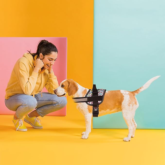 Dogline Dog Harness, Reflective No-Pull Adjustable Vest with Handle for Walking, Training, Breathable, No - Choke Harness for Small, Medium or Large Dogs Room for Patches Leopard Rainbow L 27"-34"