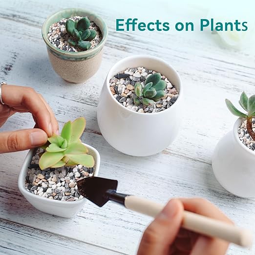 2.5 lbs Small Rocks for Succulents, 1/5 Inch Pebbles for Indoor Plants, Decorative Pea Gravel for Terrarium, Vases, Aquariums, Fish Tank, Drainage Rocks for Potted Plants, Bamboo,Crafts, Cactus