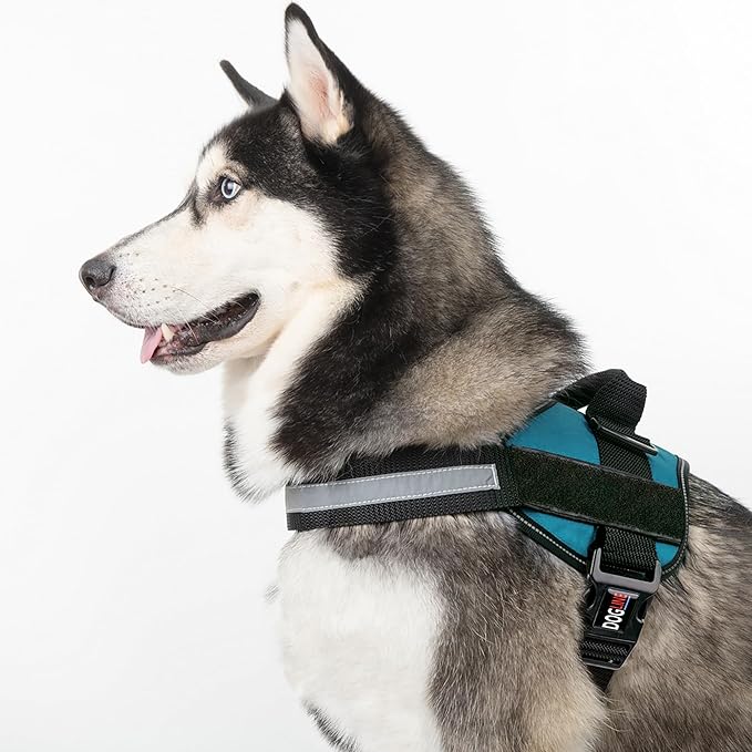 Dogline Dog Harness, Reflective No-Pull Adjustable Vest with Handle for Walking, Training, Breathable, No - Choke Harness for Small, Medium or Large Dogs Room for Patches Girth 27 to 34 in Turquoise