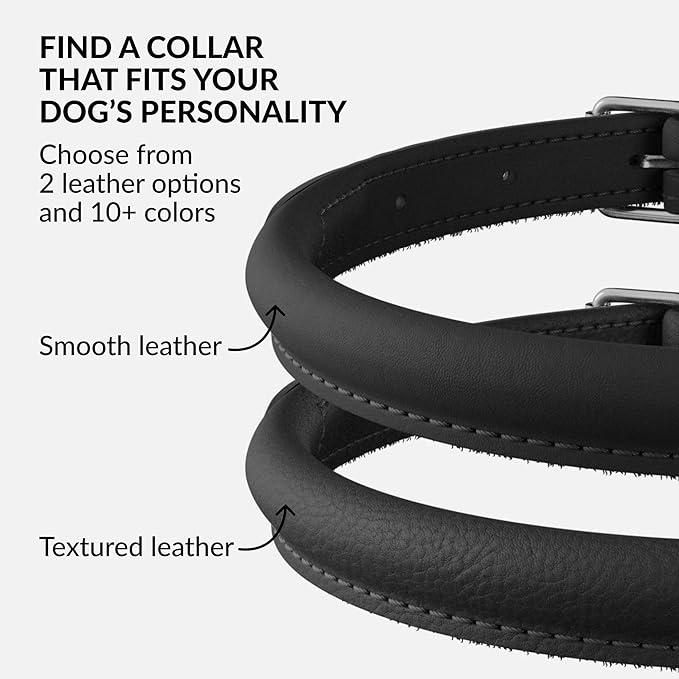 CollarDirect Rolled Leather Dog Collar, Soft Padded Round Puppy Collar, Handmade Genuine Leather Collar Dog Small Large Cat Collars 13 Colors (13-16 Inch, Black Smooth)