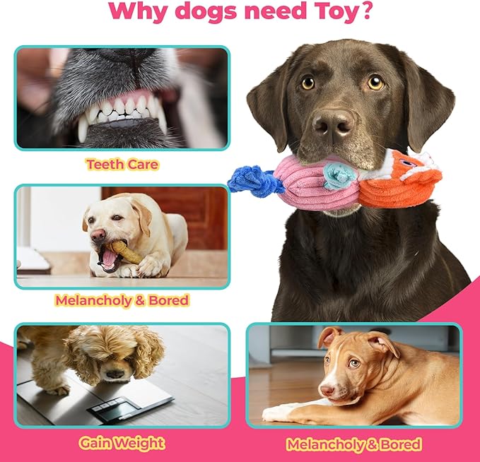 3pcs Dog Squeaky Toys, Plush Stuffed Puppy Chew Toy for Extended Play, Interactive Toys Gifts for Small Medium Large Chewer Dogs, Pet Toy Bulk to Keep Them Busy(Dog&Fox&Pig)