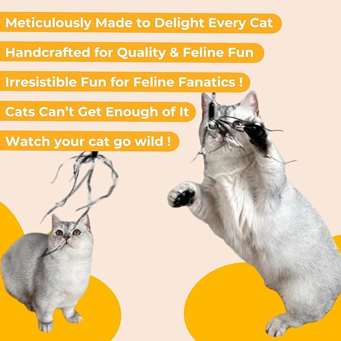 Cat Wand 38" - Retractable Cat String Toy with Spider Teaser and Refill, Perfect Interactive Toy for Indoor Cats and Kittens