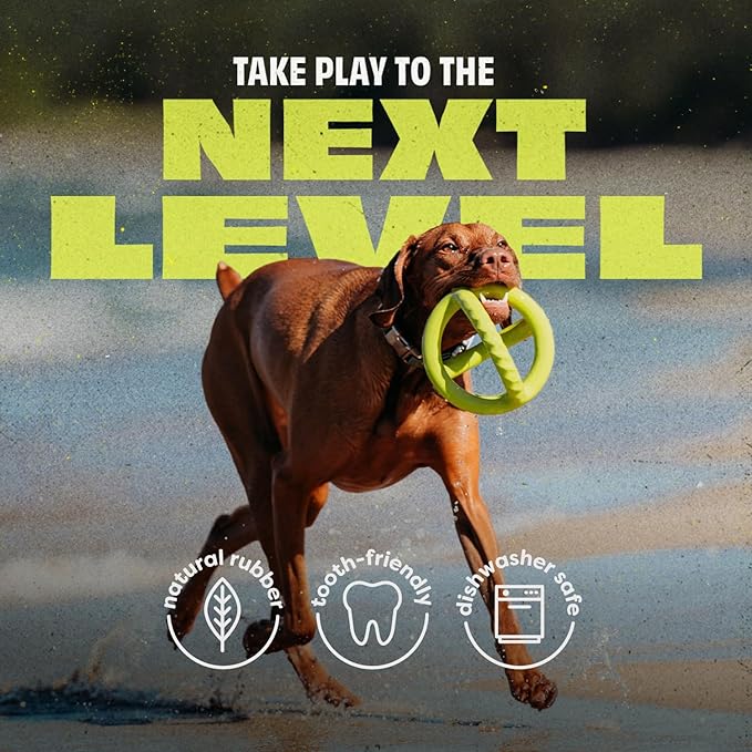 Benebone Natural Rubber Tug Interactive Dog Toy, Natural Rubber