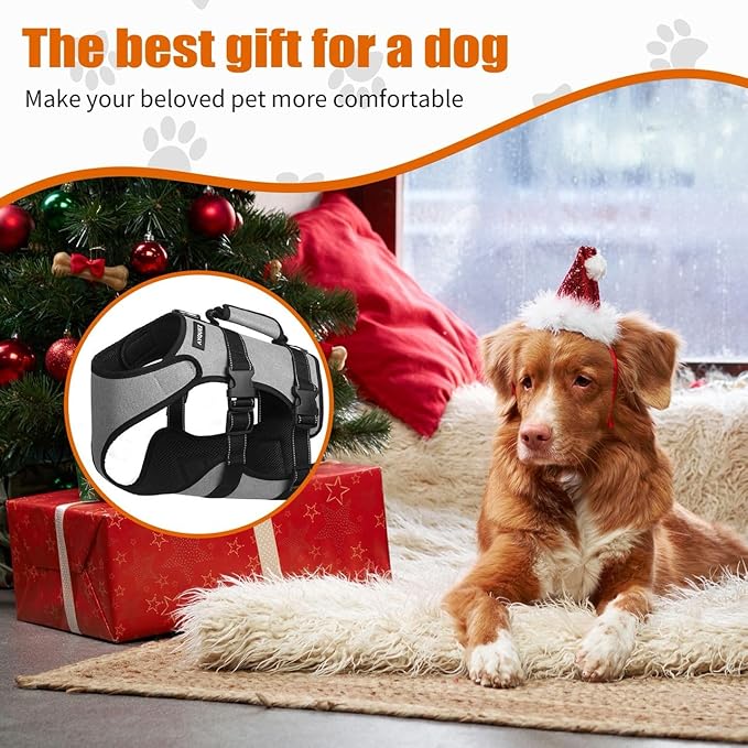 Ayquez Dog Lift Harness with Storage and Transport Bag, Dog Harness with Handle for Lifting & Hip dysplasia, arnés para Perros pequeños, pechera para Perros (Gray, XL)