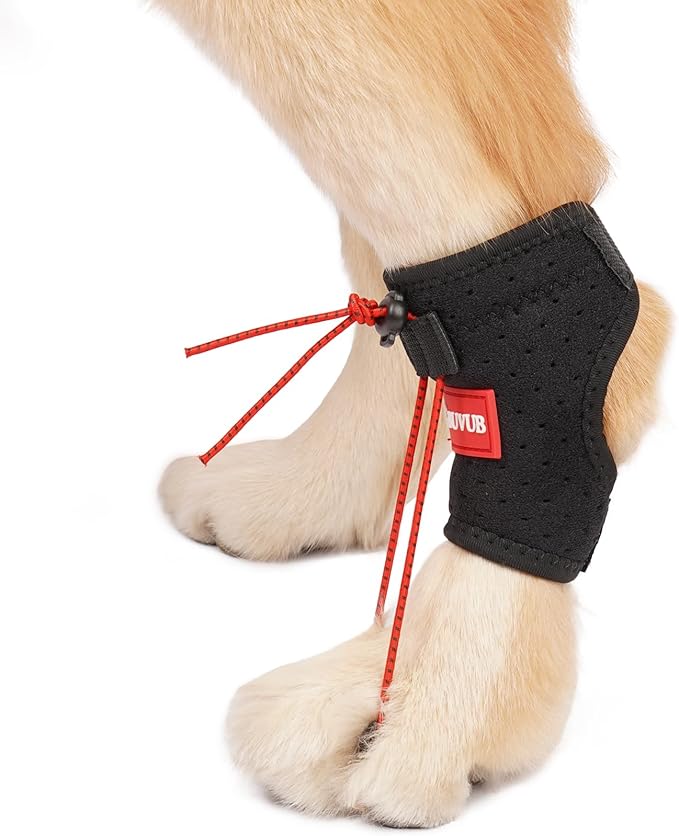 Dog Canine Knuckling Brace Front Paw Rear Leg Dog Foot Brace Wrap for Toe Dragging Cause by Sciatic Nerve Insufficiency, Myelopathy, Herniated Disc (Large,Pair Pack)