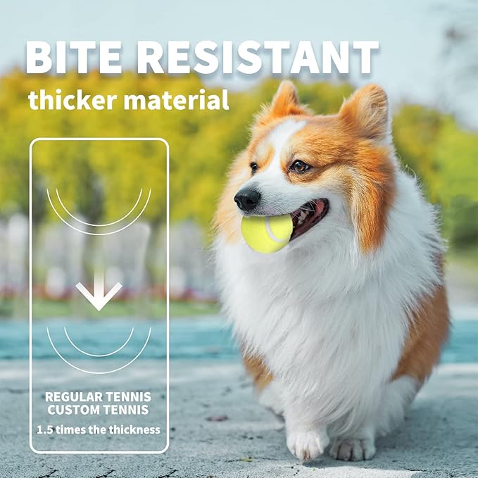 ALL FOR PAWS Interactive Super Bounce Tennis Balls Dog Toy, Pet Safe Toys for Exercise and Training, 2.5 Inch Diameter (6 Pack)