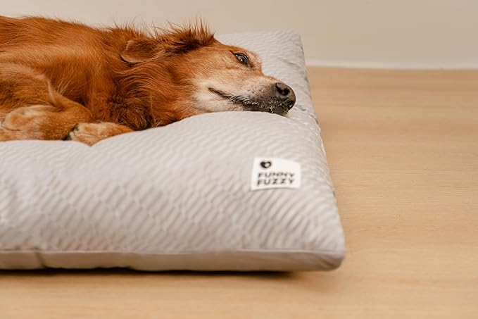 FUNNY FUZZY Washable Dog Bed,Reversible Plush Dog Crate Mat, Soft Fluffy Kennel Pad,Pet Sleeping Mattress for Jumbo,X-Large Sized Dogs Breeds,2XL,48"× 31",Light Grey