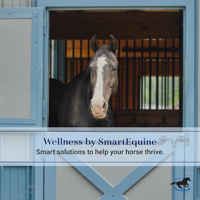 SmartEquine Fly Mask with UV Protection, Ears, and Mesh | Wide Secure Closure | UV Fly Mask for Horses (Horse)