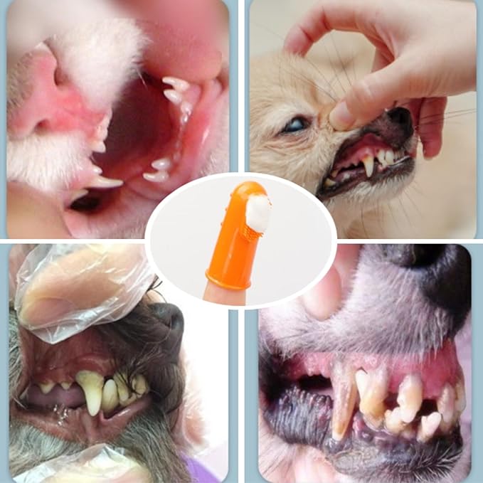 4 Pack Pet Tooth Brushing Kit – Extra Soft Finger Toothbrushes for Cats & Dogs Gentle Plaque & Tartar Removal, Freshens Breath Pain-Free Teeth Cleaning for Small to Large Pets