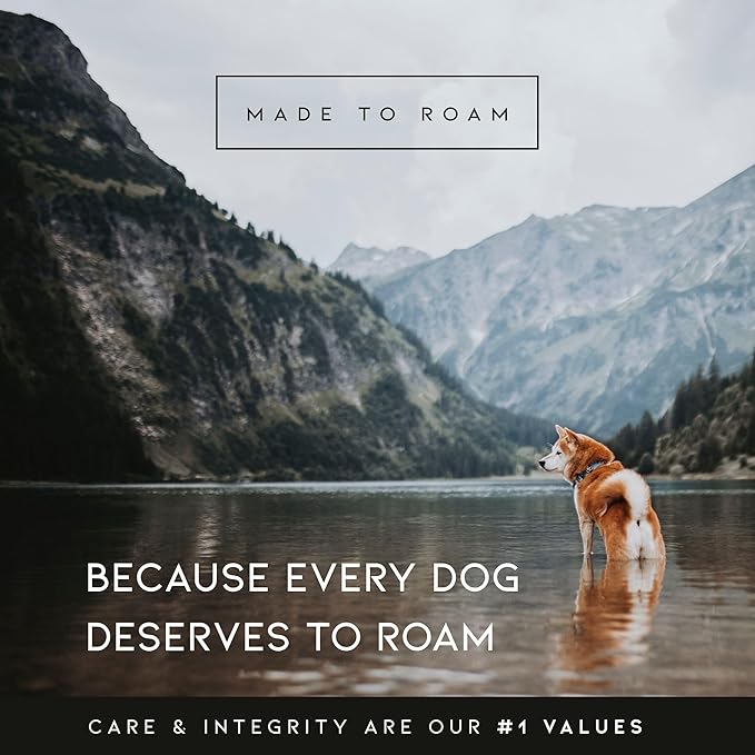 MADE TO ROAM Premium Explorer Harness - Y-Shaped Dog Harness with Adjustable Durable Nylon, Soft Padding, Metal Buckles and Leather Handle for Small, Medium, Large Dogs (Vermont Weekends, Size 3)