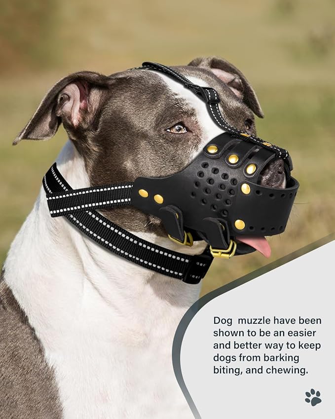 Dog Muzzle, Leather Basket Soft Muzzles Medium Large Breeds, Pitbull Dog Muzzle Amstaff Staffordshire Terrier, German Shepherd Dalmatian Doberman Adjustable (XL)