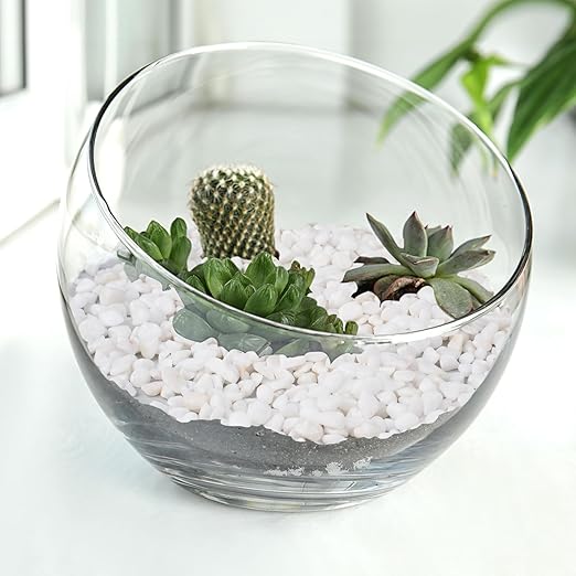5 lbs White Aquarium Gravel, 1/5 Inch White Rocks for Plants, Small Pebbles for Vases, Succulents, Bamboo, Natural Decorative Pebbles for Plants Drainage, Cactus, Crafts