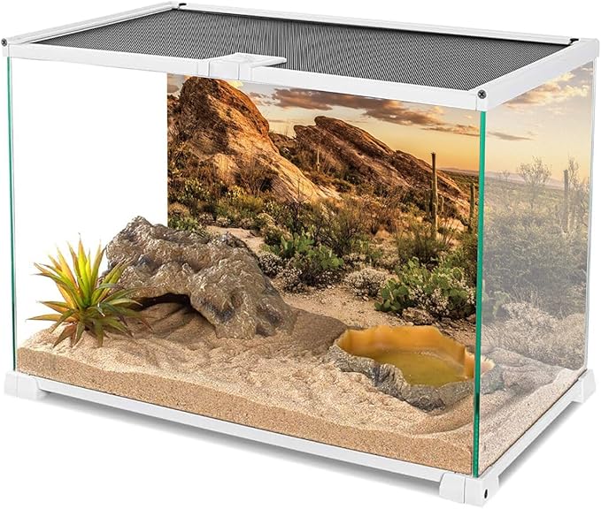 AWERT Reptile Habitat Background Blue Sky Oasis Cactus Sun and Desert Terrarium Background 60x24 inches Durable Polyester Background