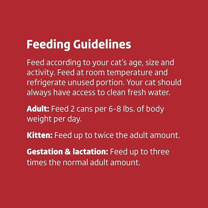 Amazon Brand - Wonder Bound Wet Cat Food, Paté, No Added Grain, 3 oz cans, Pack of 24 (Beef)