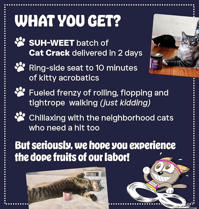 Cat Crack Catnip, Zoomie-Inducing Cat Nip Blend, North American Made & 100% Natural, Safe & Non-Addictive Catnip Treats Used to Supplement Cat Nip Toys, Spray, & Accessories (1 Cup)