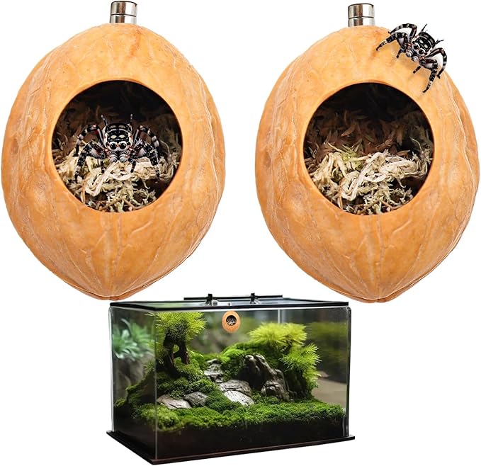 2 Pack Jumping Spider Enclosure Accessories with Walnut Shell Moss and Magnet, Natural Material Jumping Spider Hide