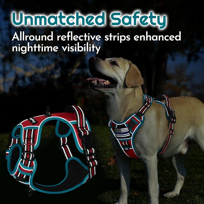 Eagloo Dog Harness Medium Sized, Easy Wearing with 3 Buckles, Adjustable No Pull Pet Harness with 2 Rings for Walking, No Chock Reflective Soft Padded Vest with Control Handle, Red & Teal, M