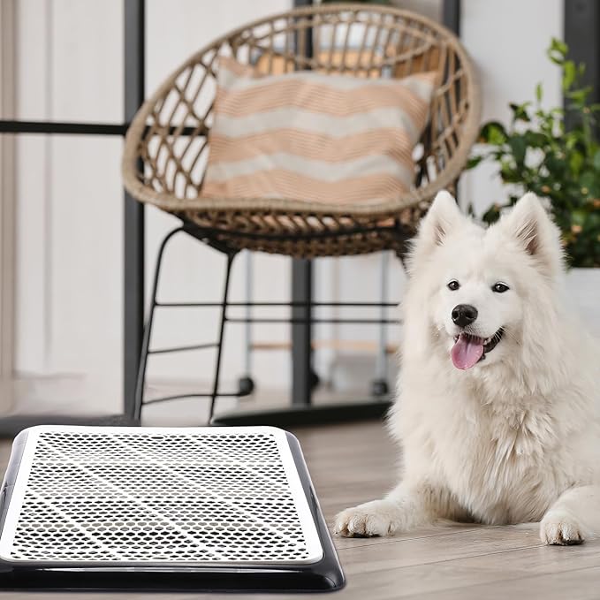 Mifoci 2 Pcs Dog Pee Pad Holder Potty Tray Portable Dog Litter Box Toilet Training for Indoor Outdoor Small Medium Large Pet Puppy(25.6 x 18.9 Inch)